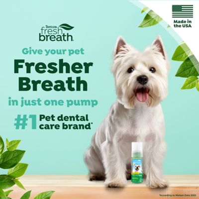 Image showing  Fresh Breath Mint Foam for Pets, 4.5oz