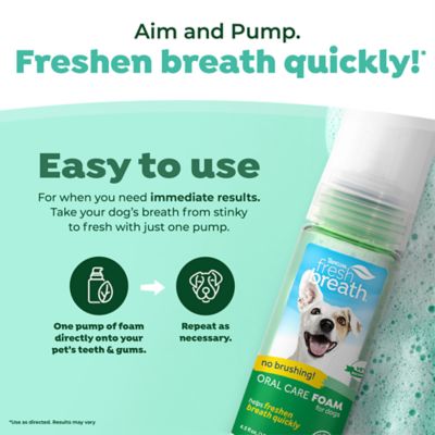 Image showing 6 th TropiClean Fresh Breath Mint Foam for Pets, 4.5oz