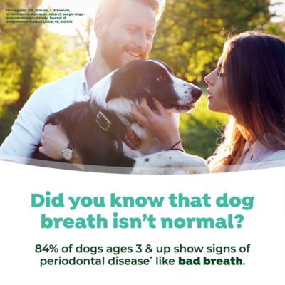 Image showing 7 th TropiClean Fresh Breath Mint Foam for Pets, 4.5oz