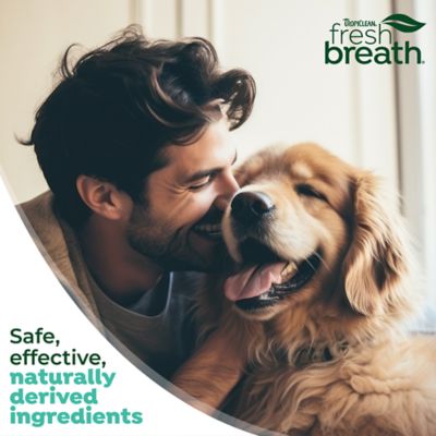 Image showing 9 th TropiClean Fresh Breath Mint Foam for Pets, 4.5oz