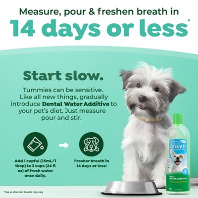 Image showing 6 th TropiClean Fresh Breath Water Addit 32 oz.