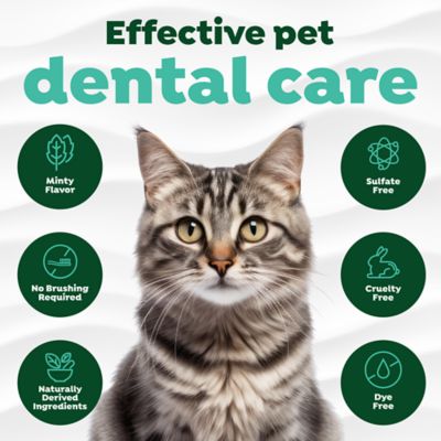Image showing 6 th TropiClean Fresh Breath No Brushing Clean Teeth Dental & Oral Care Gel for Cats, 2oz