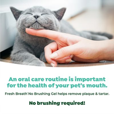 Image showing 7 th TropiClean Fresh Breath No Brushing Clean Teeth Dental & Oral Care Gel for Cats, 2oz