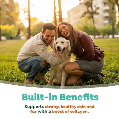 Image showing 7 th TropiClean Fresh Breath Water Additive Skin & Coat, 16 fl. oz.