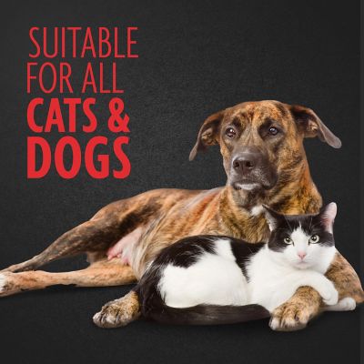 Image showing 8 th FURminator Nail Grinder