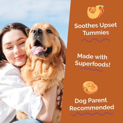 Image showing  Pumpkin Digestive Supplement 15oz