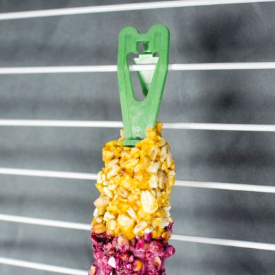 Image showing  Wild Berry and Honey Glazed Crunch Sticks Chewable Guinea Pig Treats, Supports Healthy Teeth, 2 ct.