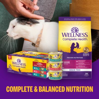 Image showing 7 th Wellness Complete Health Adult Grain Free Turkey & Salmon Pate Wet Cat Food, 3 oz.