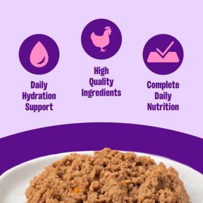 Image showing  Complete Health Natural Grain Free Kitten Health Chicken Recipe Wet Canned Cat Food