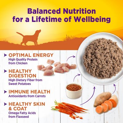 Image showing  Natural Wet Canned Dog Food Turkey & Sweet Potato, 12.5-Ounce Can