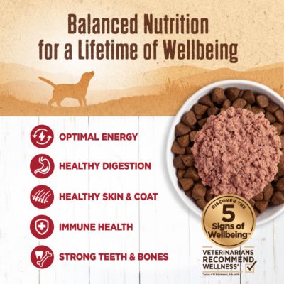 Image showing  Natural Grain Free 95% Beef Recipe Adult Wet Canned Dog Food