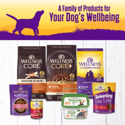 Image showing 6 th Wellness Complete Health Adult All-Natural Chicken, Peas and Carrots Chunks Wet Dog Food, 12.5 oz. Can