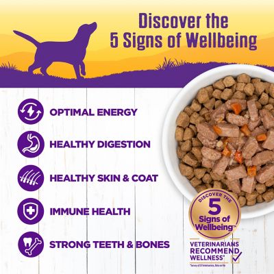 Image showing  Thick & Chunky Natural Canned Dog Food, Turkey Stew, 12.5-Ounce Can