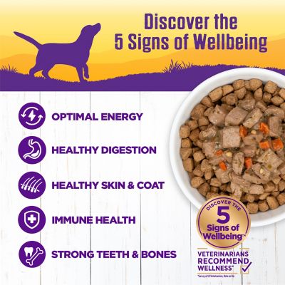 Image showing  Thick & Chunky Natural Canned Dog Food, Lamb & Beef Stew, 12.5-Ounce Can