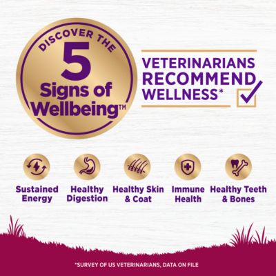Image showing 2 th Wellness Complete Health Adult Small Breed Turkey and Oatmeal Recipe Dry Dog Food