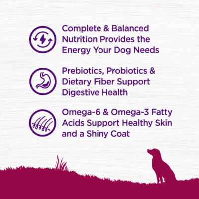 Image showing 3 th Wellness Complete Health Adult Small Breed Turkey and Oatmeal Recipe Dry Dog Food