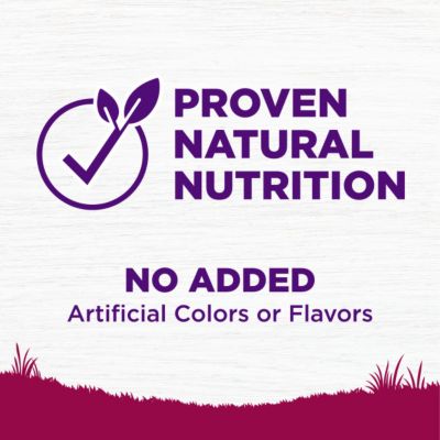 Image showing 4 th Wellness Complete Health Adult Small Breed Turkey and Oatmeal Recipe Dry Dog Food