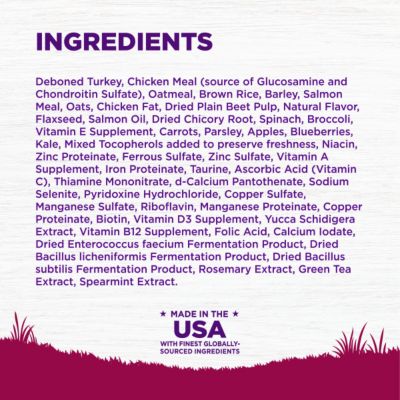 Image showing 5 th Wellness Complete Health Adult Small Breed Turkey and Oatmeal Recipe Dry Dog Food
