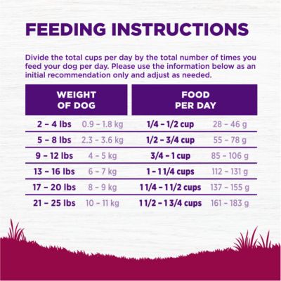 Image showing 7 th Wellness Complete Health Adult Small Breed Turkey and Oatmeal Recipe Dry Dog Food