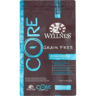 core ocean dog food