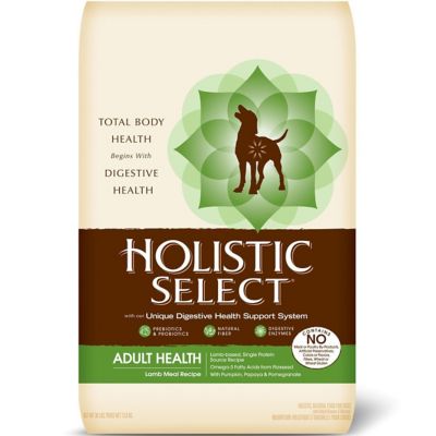 Holistic Select Adult Digestion Support Natural Lamb Meal Formula Dry Dog Food