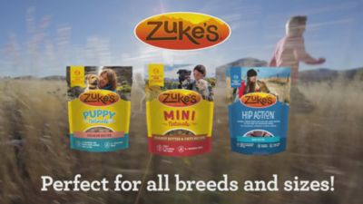 Image showing  Natural Mini Peanut Butter and Oats Flavor Dog Treats, 16 oz.