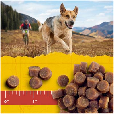 Image showing  Natural Mini Peanut Butter and Oats Flavor Dog Treats, 16 oz.