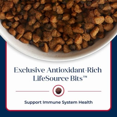 Image showing 7 th Blue Buffalo Basics Adult Grain-Free Limited Ingredient Salmon and Potato Recipe Dry Dog Food