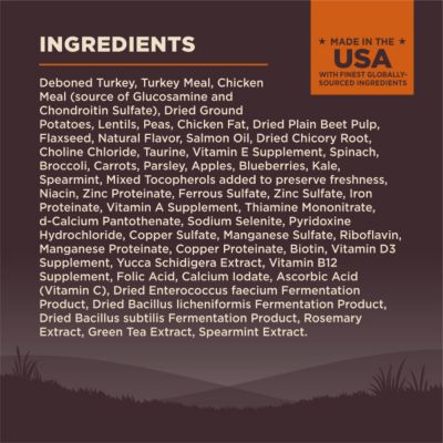 Image showing 6 th Wellness CORE Adult Small Breed High-Protein Grain-Free Turkey and Chicken Recipe Dry Dog Food
