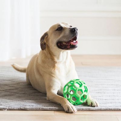 Image showing  Hol-ee Roller Dog Toy, Large