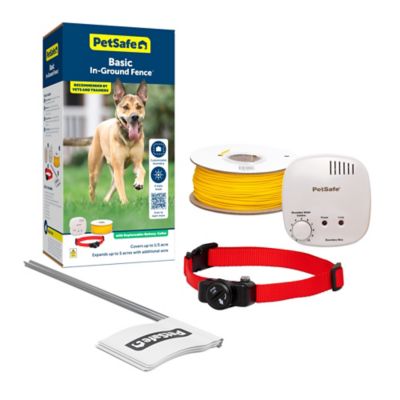 Petsmart underground best sale dog fence