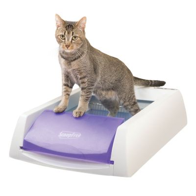 self cleaning dog litter box