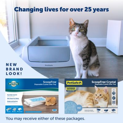Image showing 7 th PetSafe Scoop-Free Crystal Disposable Cat Litter Tray, Fresh Scent, 1 pk.