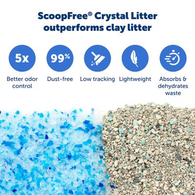Image showing  ScoopFree Disposable Crystal Cat Litter Tray, Blue, 3 ct.