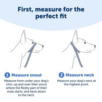 Image showing  Gentle Leader Quick-Release Dog Headcollar