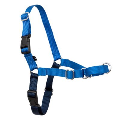 Image showing 7 th PetSafe Easy Walk No-Pull Dog Harness