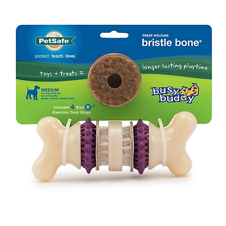 PetSafe Busy Buddy Dental Health Bristle Bone Dog Chew Toy, Medium