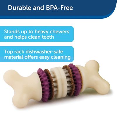 Image showing  Busy Buddy Bristle Bone, Medium, Helps Keep Your Dog's Teeth Clean, Long-Lasting Playtime