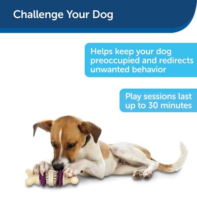 Image showing  Busy Buddy Bristle Bone, Medium, Helps Keep Your Dog's Teeth Clean, Long-Lasting Playtime