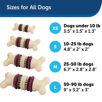 Image showing  Busy Buddy Bristle Bone, Medium, Helps Keep Your Dog's Teeth Clean, Long-Lasting Playtime