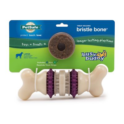 busy buddy bristle bone