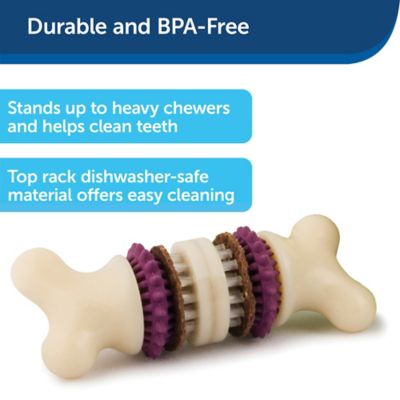 Image showing  Busy Buddy Bristle Bone, Large, Helps Keep Your Dog's Teeth Clean, Long-Lasting Playtime