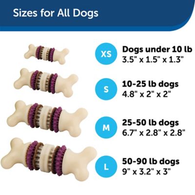 Image showing  Busy Buddy Bristle Bone, Large, Helps Keep Your Dog's Teeth Clean, Long-Lasting Playtime