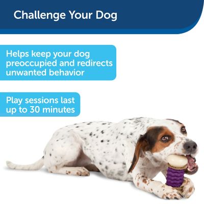 Image showing  Busy Buddy Dental Health Nobbly Nubbly Dog Chew Toy, Large, Size C