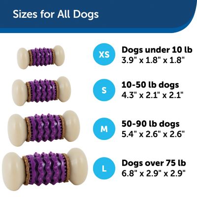 Image showing  Busy Buddy Dental Health Nobbly Nubbly Dog Chew Toy, Large, Size C