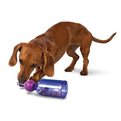 PetSafe Busy Buddy Tug-A-Jug Dog Toy, Small