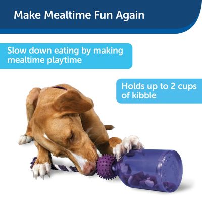 Image showing  Busy Buddy Tug-A-Jug Dog Toy, Small
