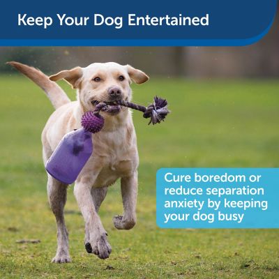 Image showing  Busy Buddy Tug-A-Jug Dog Toy, Small