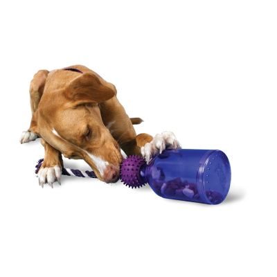 PetSafe BUSY BUDDY TWIST N TREAT Dog Toy Chew and Treat Dispensing SMALL