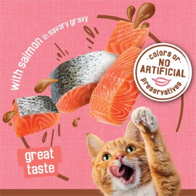 Image showing  Extra Gravy Wet Cat Food Chunky With Salmon in Savory Gravy, 5.5 oz.